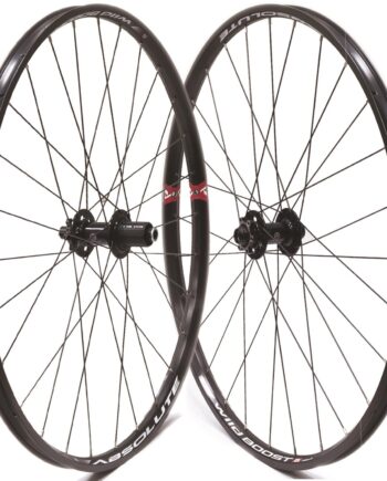 RODA 29 ABSOLUTE WILD BOOST