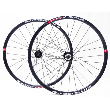 RODA 700 ALM WILD-R 2 DISC HG