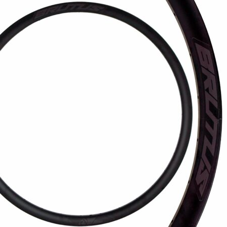 ARO 29 ALM BRUTUS DISC